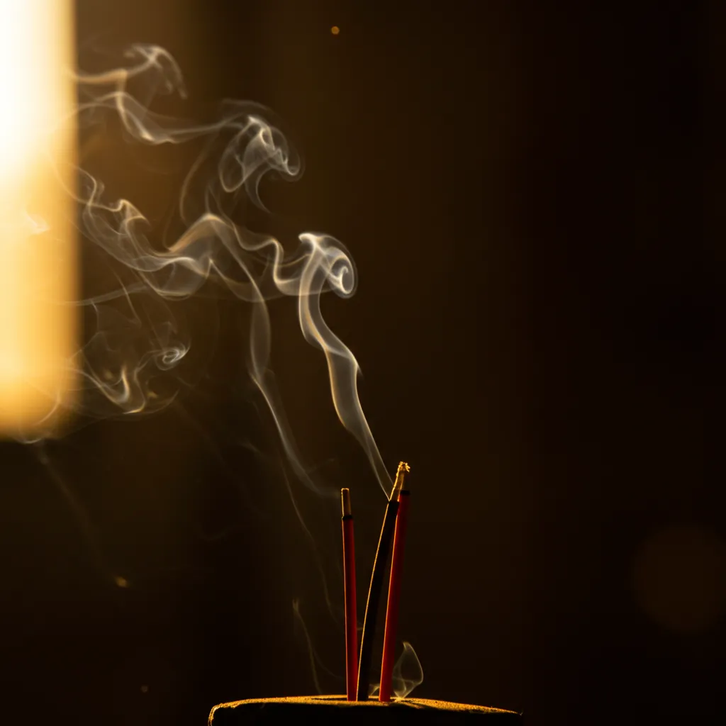 Fumée d'encens dans une lumière douce illustrant les notes olfactives sombres et mélancoliques du parfum